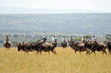 Kenya-Masai Mara-Masai Mara Equestrian Safari